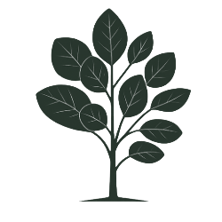 Diamond Valley Garden